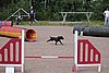 IMG_5228.JPG