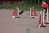IMG_5234.JPG