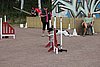 IMG_5237.JPG
