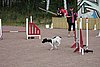 IMG_5238.JPG