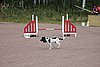 IMG_5239.JPG