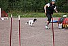 IMG_5244.JPG