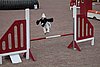IMG_5248.JPG