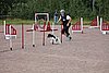 IMG_5251.JPG