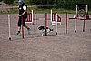 IMG_5254.JPG