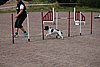 IMG_5255.JPG