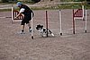 IMG_5256.JPG