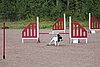 IMG_5266.JPG