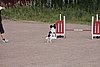 IMG_5271.JPG