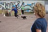 IMG_5274.JPG
