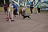 IMG_5275.JPG