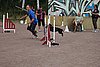 IMG_5276.JPG