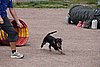 IMG_5288.JPG
