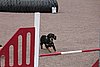 IMG_5290.JPG