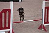 IMG_5291.JPG