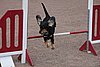 IMG_5292.JPG