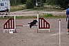 IMG_5303.JPG
