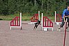 IMG_5309.JPG