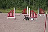 IMG_5310.JPG