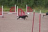 IMG_5311.JPG