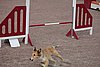 IMG_5323.JPG