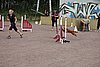IMG_5325.JPG