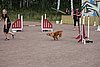 IMG_5326.JPG