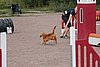 IMG_5328.JPG