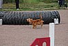 IMG_5331.JPG