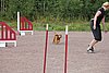 IMG_5334.JPG