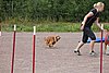 IMG_5335.JPG