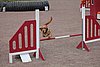 IMG_5339.JPG