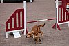 IMG_5340.JPG