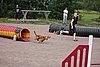 IMG_5344.JPG