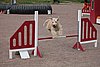 IMG_5352.JPG