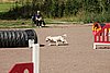 IMG_5364.JPG