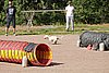 IMG_5366.JPG