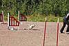 IMG_5369.JPG