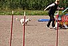 IMG_5370.JPG