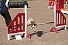 IMG_5374.JPG