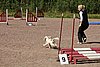 IMG_5377.JPG