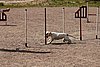 IMG_5379.JPG