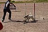 IMG_5380.JPG