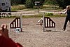 IMG_5381.JPG