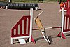 IMG_5386.JPG