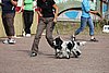 IMG_5388.JPG