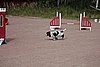 IMG_5390.JPG