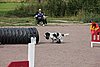 IMG_5394.JPG