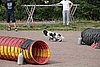 IMG_5395.JPG