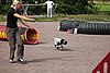 IMG_5398.JPG